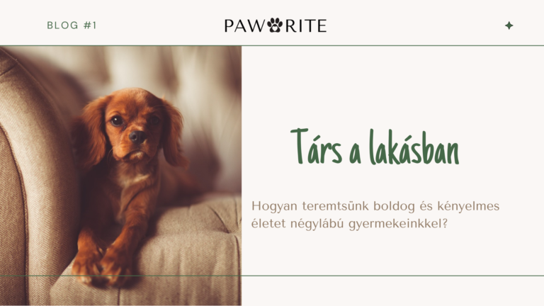 Társ a lakásban