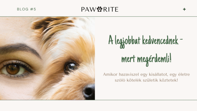 A legjobbat kedvencednek – mert megérdemli!