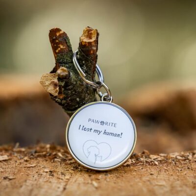 Prémium NFC Biléta - Egyszerűség és Biztonság