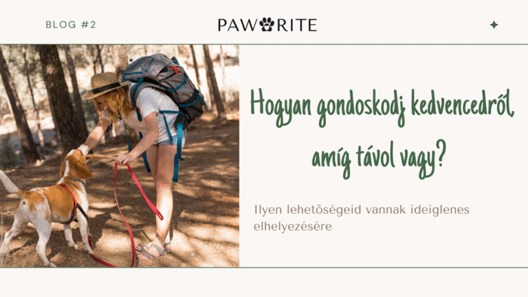 Hogyan gondoskodj kedvencedről, amíg távol vagy?
