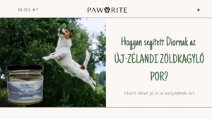 uj-zelandi-zöldkagyló-por