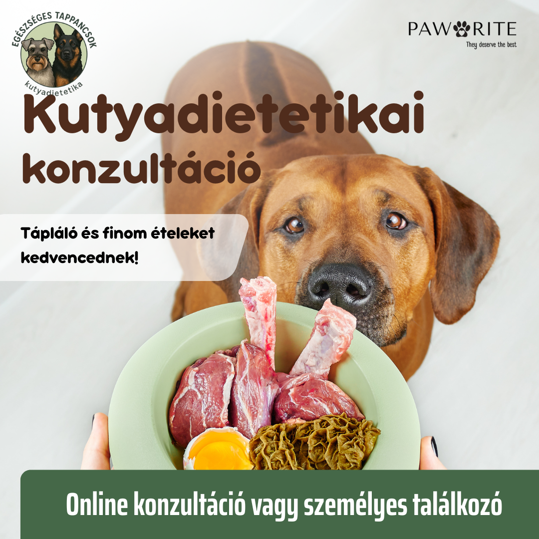 Kutyadietetikai konzultáció