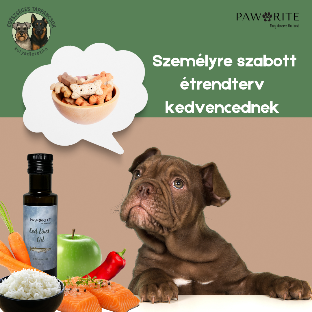 Személyre szabott étrendterv