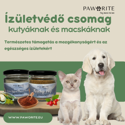 Ízületvédő csomag kutyáknak és macskáknak